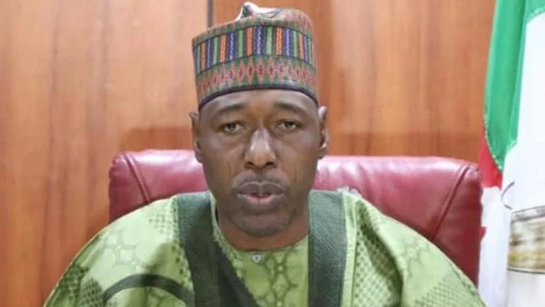 
Zulum directive on LG funding