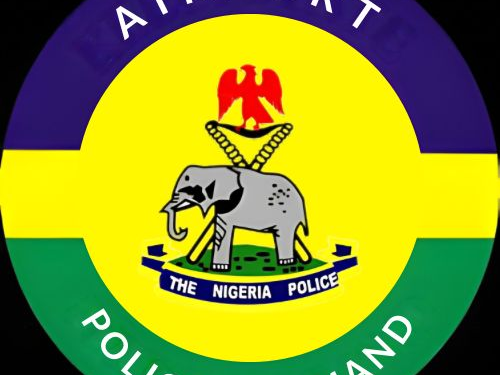 Police Arrest 24-Year-Old Fake ‘American Doctor’ Over ₦48.5m Romance Scam in Lagos