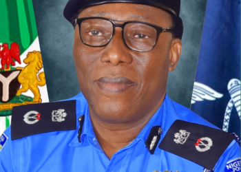 Police bust cult, robbery rings in Delta, recover arms