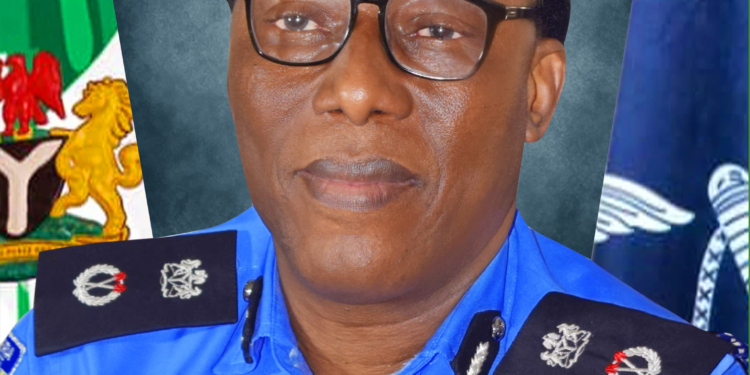 Police bust cult, robbery rings in Delta, recover arms