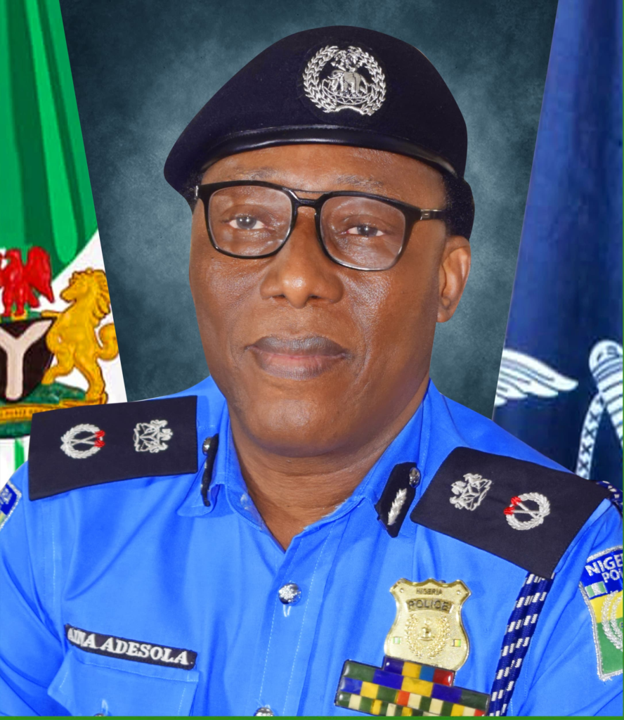 Police bust cult, robbery rings in Delta, recover arms