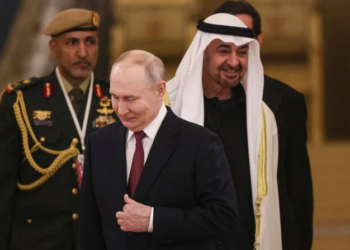 Putin seeks ceasefire in talks with UAE, Qatar