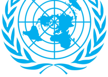 UN urges stronger action to end violence against women, girls