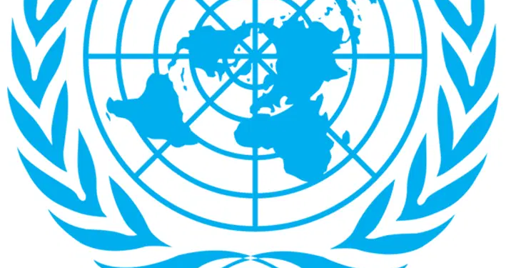 UN urges stronger action to end violence against women, girls