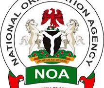 Nigerians must pay tax to demand accountability – NOA