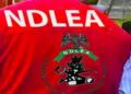 NDLEA arrests 39 suspected drug peddlers in Rivers