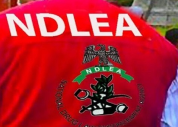 NDLEA arrests 39 suspected drug peddlers in Rivers