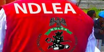 NDLEA arrests 39 suspected drug peddlers in Rivers