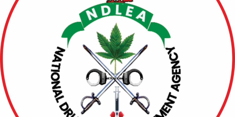 Lagos Court Fines Ship, 10 Sailors $6m for Cocaine Smuggling — NDLEA