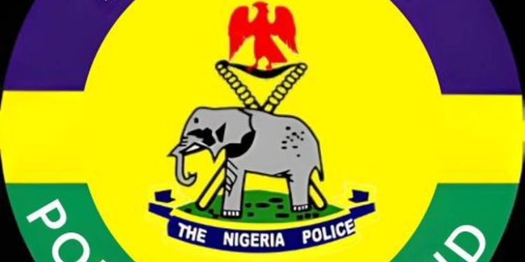 Delta Fertility Festival: Police Address Rape Allegations, Say No Official Reports Filed