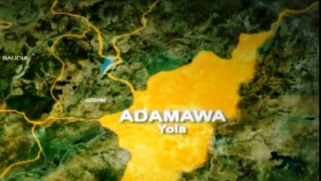 Adamawa hanging death investigation