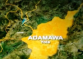 Adamawa Tragedy: Police Probe Hanging Death of 48-Year-Old Man