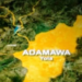 Adamawa Tragedy: Police Probe Hanging Death of 48-Year-Old Man