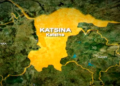 Police Arrest Woman Over Alleged Theft of N10m Goods in Katsina
