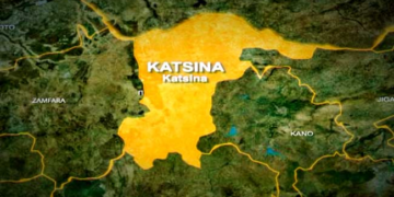 Police Arrest Woman Over Alleged Theft of N10m Goods in Katsina