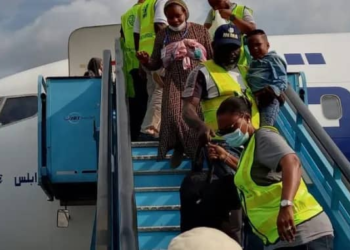 NEMA receives 522 stranded Nigerians from Niger in voluntary repatriation