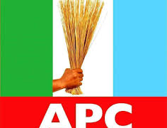 Opposition in Disarray, Unprepared for 2027 Polls – APC Chieftain