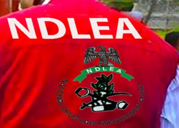 NDLEA Intercepts 125 Bags of Cannabis in Edo, Intensifies Crackdown on Drug Trafficking