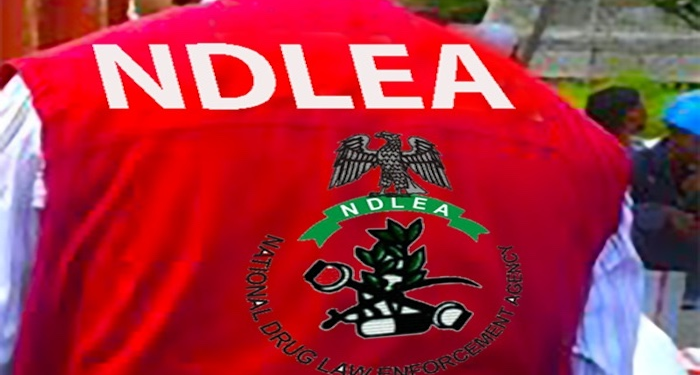 NDLEA Intercepts 125 Bags of Cannabis in Edo, Intensifies Crackdown on Drug Trafficking