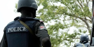 Lagos Police Arrest 18-Year-Old Over Alleged N20m Ransom Threat
