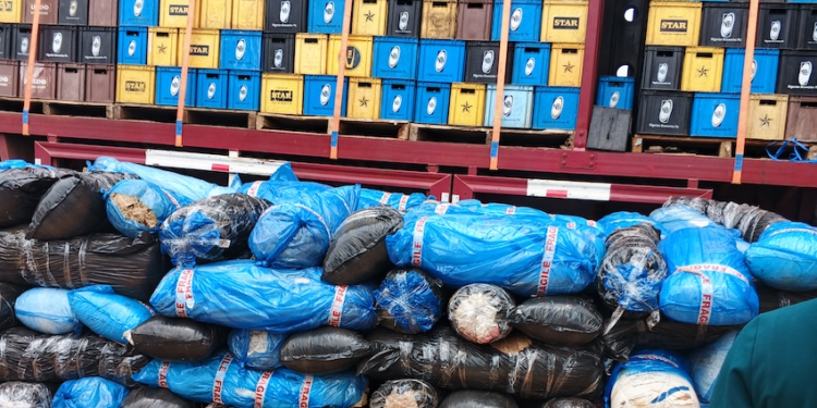 National Drug Law Enforcement Agency Arrests Five, Seizes Trucks Laden with ₦724m Cannabis in Edo State