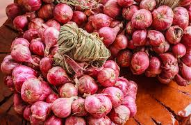 Fire Guts Onion Stock Worth ₦56.8m in Sokoto, Raises Supply Concerns