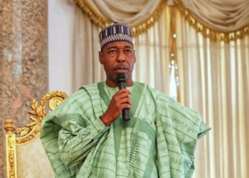 Babagana Umara Zulum Did Not Endorse Ex-Commissioner for Governorship — Aide Clarifies
