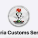 Customs Auction N14.8m Petrol in Ikeja After Smuggling Interception