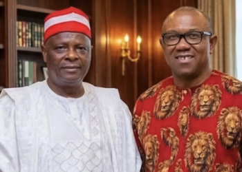 2027: Obi Kwankwaso NDC Move Reshapes Opposition Politics As Leaders Demand Litigation-Free Party
