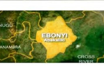 Senator Ani Faces Mounting Division in Ebonyi South Over Re-Election Bid