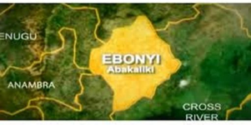 Senator Ani Faces Mounting Division in Ebonyi South Over Re-Election Bid