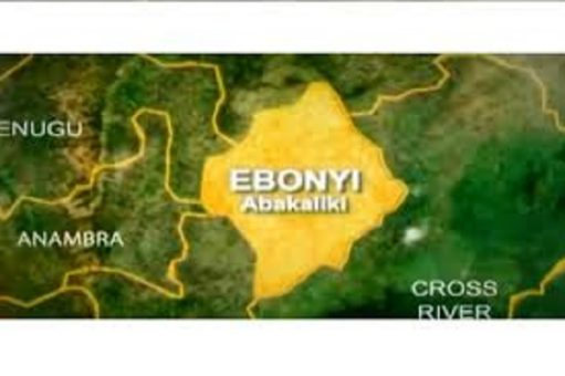 Senator Ani Faces Mounting Division in Ebonyi South Over Re-Election Bid
