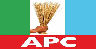 All Progressives Congress Unveils 25 Governorship Candidates as Delays in Kwara, Bauchi Raise Questions