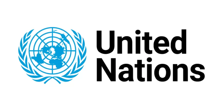 United Nations Urges Israel to Release Gaza Flotilla Activists Amid Rising Diplomatic Tensions