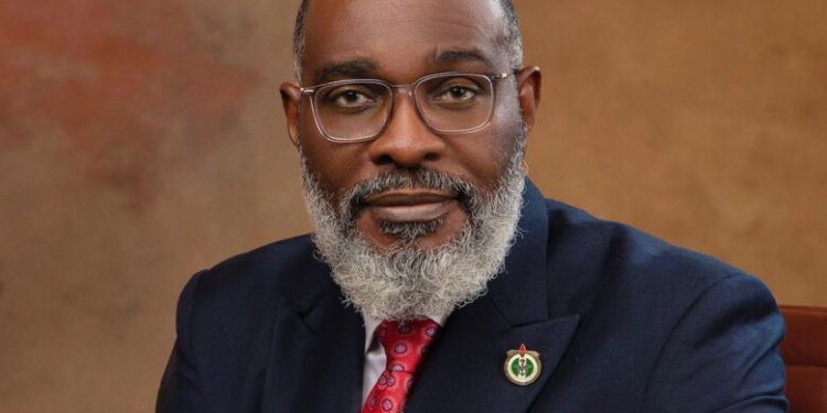 Bola Ahmed Tinubu Appoints Special Adviser on Homeland Security to Strengthen National Response Framework