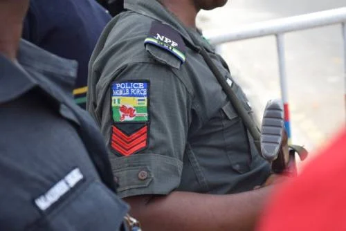 POLICE ARREST TWO ARMED ROBBERY SUSPECTS IN ADAMAWA AS SECURITY CRACKDOWN INTENSIFIES