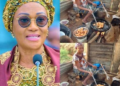 Yobe Approves ₦460.8m Beans, Equipment Package for Women Food Vendors Yobe akara sellers empowerment programme