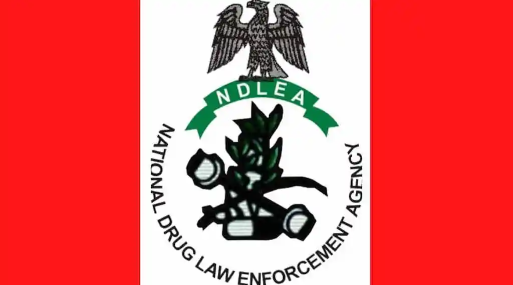 NDLEA Intercepts 1.63 Million Tramadol Pills in Major Cross-Border Drug Bust