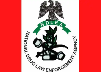 NDLEA Intercepts 1.63 Million Tramadol Pills in Major Cross-Border Drug Bust