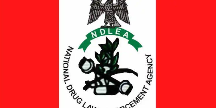 NDLEA Intercepts 1.63 Million Tramadol Pills in Major Cross-Border Drug Bust