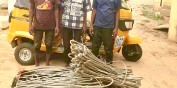 Yobe Police Arrest Three Suspected Power Vandals, Recover Cables, Vehicles