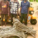 Yobe Police Arrest Three Suspected Power Vandals, Recover Cables, Vehicles