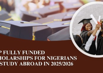 Chevening, Open Doors and Stanford Scholarships Nigerians Can Apply for in August 2026