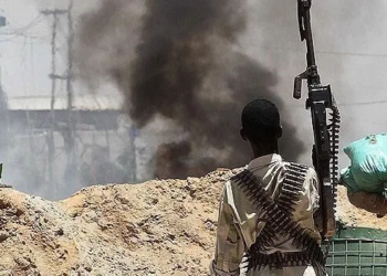 Benue Attack: Police Confirm 13 Killed in Efeyi, Launch Clearance Operation