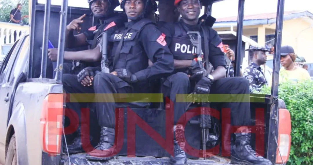Niger Police Arrest 147 Suspects in Major Raids, Recover Weapons, Cannabis