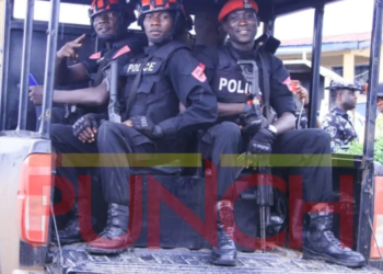 Niger Police Arrest 147 Suspects in Major Raids, Recover Weapons, Cannabis