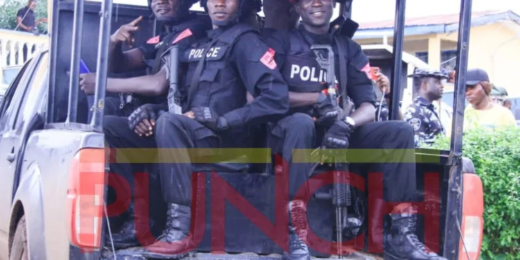 Niger Police Arrest 147 Suspects in Major Raids, Recover Weapons, Cannabis