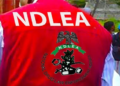 NDLEA Busts International Cocaine Cartel, Arrests Influencer KC Luxury in Lagos