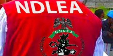 NDLEA Busts International Cocaine Cartel, Arrests Influencer KC Luxury in Lagos