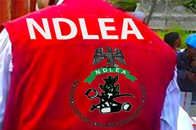 NDLEA Busts International Cocaine Cartel, Arrests Influencer KC Luxury in Lagos
